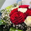 user35712078141277