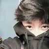 udinsolidin3