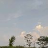 _penjualan161