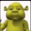 bsneidiebrv