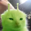 kxana_0m6