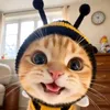 kenzocha7