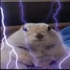 dogy4321
