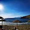 _mona__2593