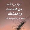 user7341415623203