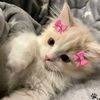 _alexxandra_258