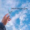 user355071467