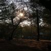 junn__2222