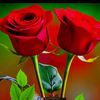 omiar.sardar