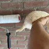 rutgervdheijden