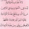 user4377866272199