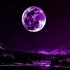 oksana.moon2