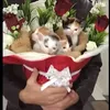 user_221719062024