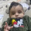 shahan.sardasht