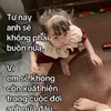khanhuyen328