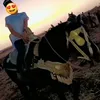 user7260710477781