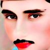 afzal.khan5552