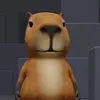 voyeucuanh7