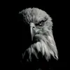 david_laid13