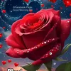 akrmhan.han