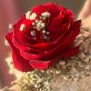 itx.mustafa00