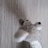 reselvyx9xc