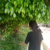 always_olif7
