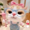 user1343981802821