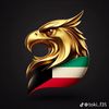ahmed.shawqy68