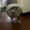 itsmejarredlol