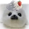 pomvvsl