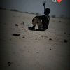 monzer.yaser3
