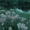 1x_xee3