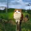 nick_name828