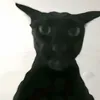 maxug44