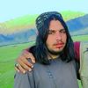 umar.umar6954