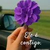 elisabete.silva852