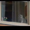 d.gh_82