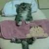 _yaroray_