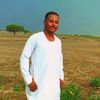 user5800608136581