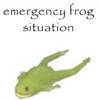 frogsituation