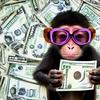 monkeymoneyplan