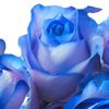 user1111503042268