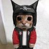 luis_1644_