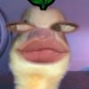mote_nak0