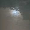 mahdi6123