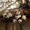 zah_1417