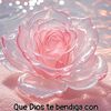 nina557822