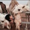 nofa_117