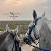 a_mm_98
